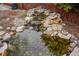 Serene outdoor pond featuring cascading waterfalls and colorful koi fish swimming in crystal-clear water at 841 Niagara St, Denver, CO 80220