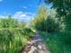 Scenic walking path surrounded by lush greenery and trees, perfect for outdoor activities at 595 W Lake Ave, Littleton, CO 80120