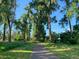 Serene walking path lined with tall trees and green grass, offering a tranquil outdoor experience at 595 W Lake Ave, Littleton, CO 80120