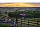 Beautiful backyard showcasing landscape and sunset views with flower baskets and a wood fence at 303 Rogers Ct, Castle Rock, CO 80104