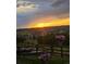 Expansive sunset view from a backyard featuring an elegant wood fence and potted plants at 303 Rogers Ct, Castle Rock, CO 80104