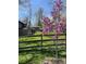 View of a lush green backyard with wooden fencing, mature trees, and blooming tree at 1172 Juniper Ave, Boulder, CO 80304