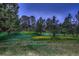 A picturesque property with tall pine trees, a meadow, and partial view of the residence at 9658 Coronado Ct, Parker, CO 80134