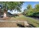 Backyard featuring large trees, green grass, wooden fence and an outdoor seating area at 2432 S Newport St, Denver, CO 80224