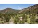 Beautiful aerial perspective of a home surrounded by lush greenery and scenic hills at 107 Elk Dr, Evergreen, CO 80439