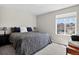 Cozy bedroom featuring a large window, neutral walls, and plush bedding for a relaxing retreat at 5336 Trails Edge Ln, Castle Rock, CO 80104