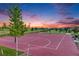 Community basketball court with a lush green landscape at sunset at 10387 Harrisburg St, Parker, CO 80134