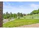 View of a well-maintained backyard with lush green grass, landscaping and privacy fence at 7367 S Tempe Ct, Aurora, CO 80016