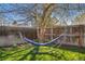 Hammock in a backyard by a tree with blue skies on a sunny day at 11446 W 105Th Dr, Broomfield, CO 80021