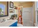 Well lit bathroom with a blue vanity, neutral wall color and shower featuring patterned shower curtain at 11446 W 105Th Dr, Broomfield, CO 80021