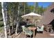 Outdoor deck with dining area under umbrella surrounded by birch trees at 8691 S Warhawk Rd, Conifer, CO 80433