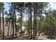 Exterior of home surrounded by tall pine trees on a clear day at 8691 S Warhawk Rd, Conifer, CO 80433