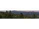 Breathtaking mountain views surround this treed property with peaceful evergreens in the foreground at 8691 S Warhawk Rd, Conifer, CO 80433