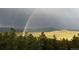 Scenic mountain view with a vivid rainbow arcing over the lush green landscape at 8691 S Warhawk Rd, Conifer, CO 80433