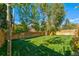 Spacious backyard with grassy lawn and wooden fence at 3485 S Clermont St, Denver, CO 80222