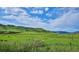 Beautiful backyard view showcasing the green grass and mountain views on a sunny day at 5603 Van Bibber Ct, Golden, CO 80403