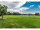 Expansive open field with lush green grass and a soccer goal under a partly cloudy sky at 7844 S Eudora Cir, Centennial, CO 80122