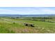 Beautiful hillside view with a bench overlooking green meadows and a lake in the distance at 8864 S Field Ct, Littleton, CO 80128