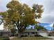 Classic ranch-style home with mature trees, well-kept lawn, and attached two-car garage at 1823 S Carr St, Lakewood, CO 80232