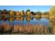 Scenic view of a serene pond surrounded by colorful trees, creating a tranquil and picturesque landscape at 1823 S Carr St, Lakewood, CO 80232