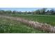 Scenic park view with grassy field, mature trees and walking paths along a lake, perfect for outdoor activities at 10836 W Evans Ave # 29, Lakewood, CO 80227