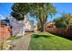 Lush backyard with vibrant green grass and a large shade tree, complemented by a neatly maintained pathway and fence at 1275 Birch St, Denver, CO 80220
