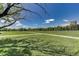 Picture of a lush green field in Cheesman Park on a bright, sunny day at 1401 N Franklin St # 2, Denver, CO 80218