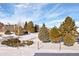 Spacious backyard, partially fenced, with mature trees surrounded in a blanket of winter snow at 6834 Hillside Way, Parker, CO 80134