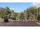 Wooden deck surrounded by lush greenery and trees at 11724 Little Turtle Ln, Conifer, CO 80433