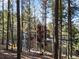 Wood-sided cabin among tall pine trees with a playful swing set and blue climbing ropes at 11724 Little Turtle Ln, Conifer, CO 80433