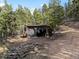 Rustic outdoor shed with logs stacked nearby, enhancing the natural landscape of the property at 11724 Little Turtle Ln, Conifer, CO 80433