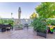 Inviting back patio featuring mature tomato plants and a convenient retractable patio umbrella at 860 Bramblewood Dr, Castle Pines, CO 80108