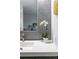 Stylish bathroom detail highlighting a unique mirror with textured gray backsplash and a delicate orchid at 7869 S Valentia St, Centennial, CO 80112