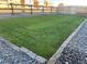 Landscaped backyard with a neatly mowed lawn and rock border at 2300 Mountain Sky Dr, Fort Lupton, CO 80621