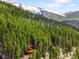 Secluded cabin, surrounded by dense trees with snow-capped mountains in the distance, offers a peaceful escape at 489 Harris Dr, Idaho Springs, CO 80452
