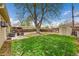 Spacious backyard with a large tree, lush green grass, patio, and shed at 1243 S Tejon St, Denver, CO 80223