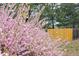 Lush flowering bush adds beauty to the backyard at 6282 Yank Ct, Arvada, CO 80004