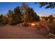Outdoor patio with fire pit, seating area, and surrounding trees for relaxation and entertainment at 11541 Warrington Ct, Parker, CO 80138