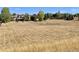 Expansive acreage with a view of the house featuring plenty of space for outdoor activities and recreation at 11541 Warrington Ct, Parker, CO 80138