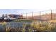 Tennis/pickleball courts with parking and landscaping at 2165 Grayside Cir, Castle Rock, CO 80109