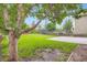 The spacious backyard offers a large lawn, patio, mature tree, and privacy with a wood fence and mature trees at 21767 Silver Meadow Ln, Parker, CO 80138