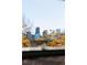 View from the house showcases the city skyline through bare winter branches at 3147 Umatilla St, Denver, CO 80211