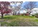 Large backyard with green grass, mature trees, brick house, and storage sheds at 10438 Williams St, Northglenn, CO 80233