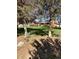 Spacious backyard showcasing mature trees and a well-maintained lawn for relaxation and recreation at 10438 Williams St, Northglenn, CO 80233
