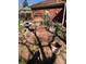 Landscaped garden with a birdbath, greenery, and brick house in the background at 10438 Williams St, Northglenn, CO 80233