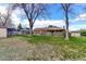 Spacious backyard featuring a well-maintained lawn, mature trees, and a charming back porch at 10438 Williams St, Northglenn, CO 80233