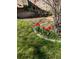 Charming flower bed featuring vibrant red tulips in a landscaped garden at 10438 Williams St, Northglenn, CO 80233