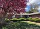 Well-maintained front yard with mature landscaping complements this single-story brick home at 11267 W Colorado Pl, Denver, CO 80232