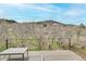 Scenic views from this home's deck at 5688 Red Fern Ct, Littleton, CO 80125