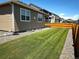 Well-maintained backyard with lush green grass and a wooden fence at 14758 Normande Dr, Mead, CO 80542